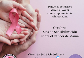 Zoom Pañuelos Solidarios